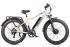 Электровелосипед Gelbert Pegas 3 DUAL PRO