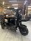 Электротрицикл Бумеранг PRO M8 2025